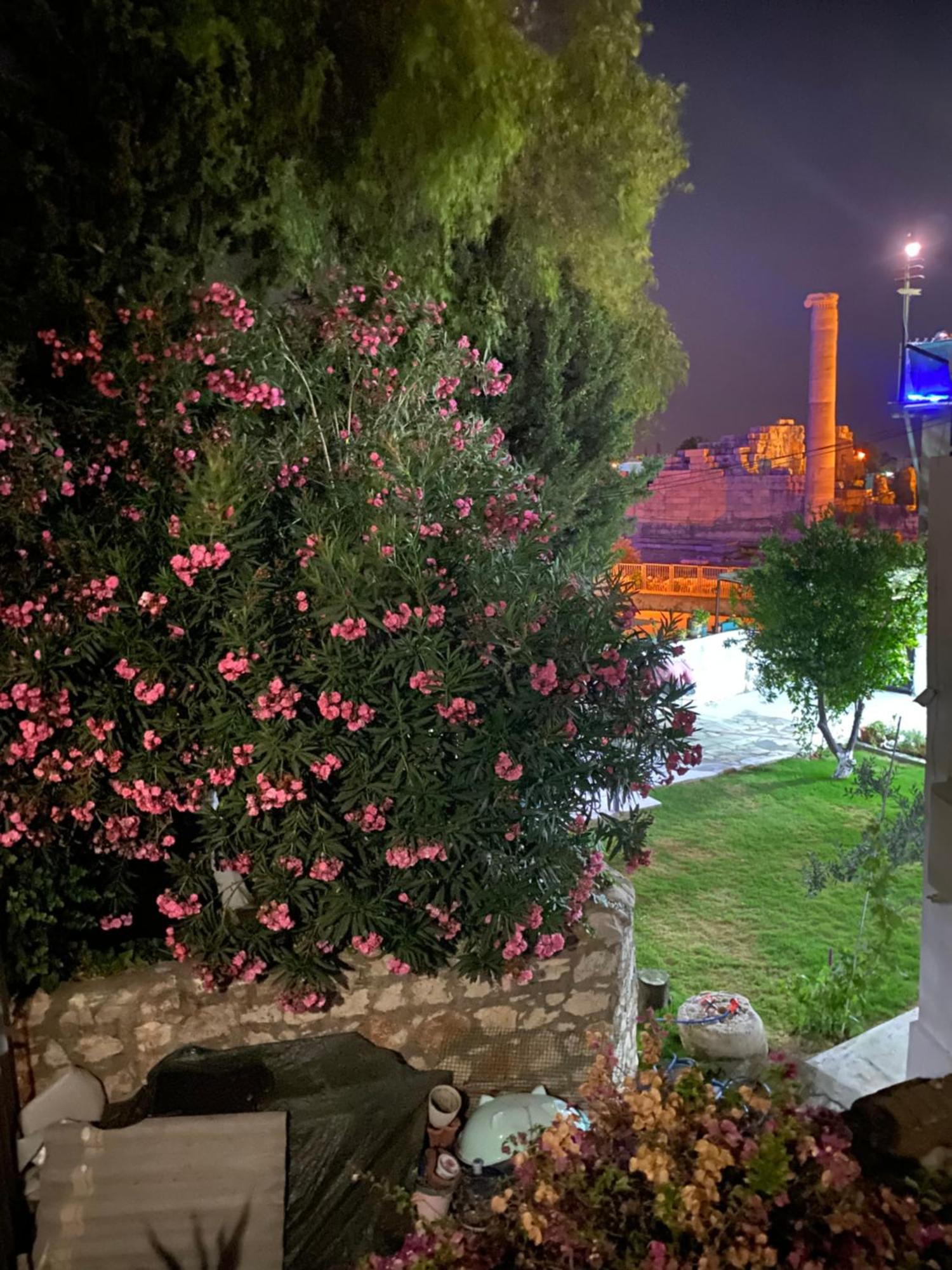 Medusa House Butik Hotel ديديم المظهر الخارجي الصورة